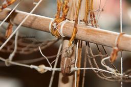 Cliquez pour agrandir l'image