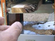 Cliquez pour agrandir l'image