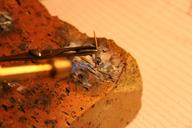 Cliquez pour agrandir l'image