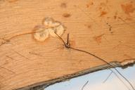 Cliquez pour agrandir l'image