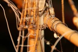 Cliquez pour agrandir l'image