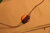 Cliquez pour agrandir l'image