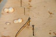 Cliquez pour agrandir l'image