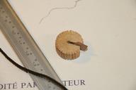 Cliquez pour agrandir l'image