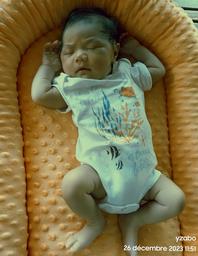 Cliquez pour agrandir l'image