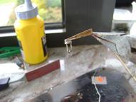 Cliquez pour agrandir l'image