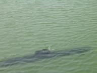 Cliquez pour agrandir l'image