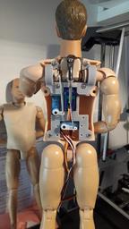 Cliquez pour agrandir l'image