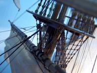 Cliquez pour agrandir l'image