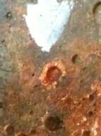 Cliquez pour agrandir l'image