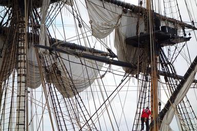 Cliquez pour agrandir l'image