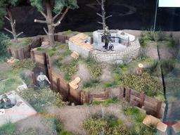 Cliquez pour agrandir l'image