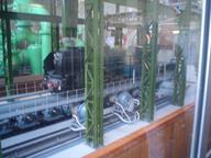 Cliquez pour agrandir l'image