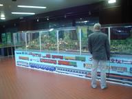 Cliquez pour agrandir l'image