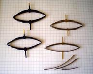 Cliquez pour agrandir l'image